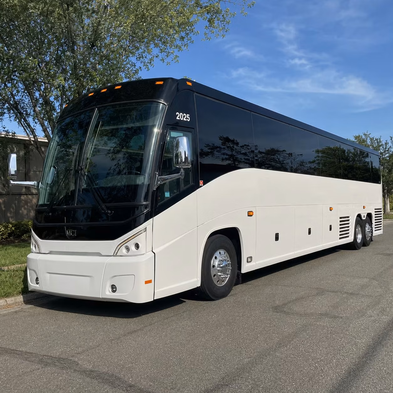 washington d c charter bus rentals for paterson groups